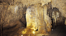 CgA Waitomo Caves