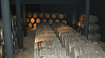 AgEhEECYn Alto Douro Wine Region
