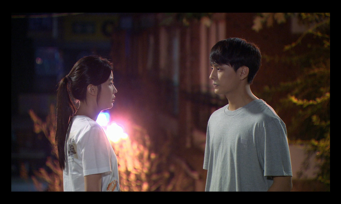 韓国ホームドラマ「恋の花が咲きました～2人はパトロール中～」
