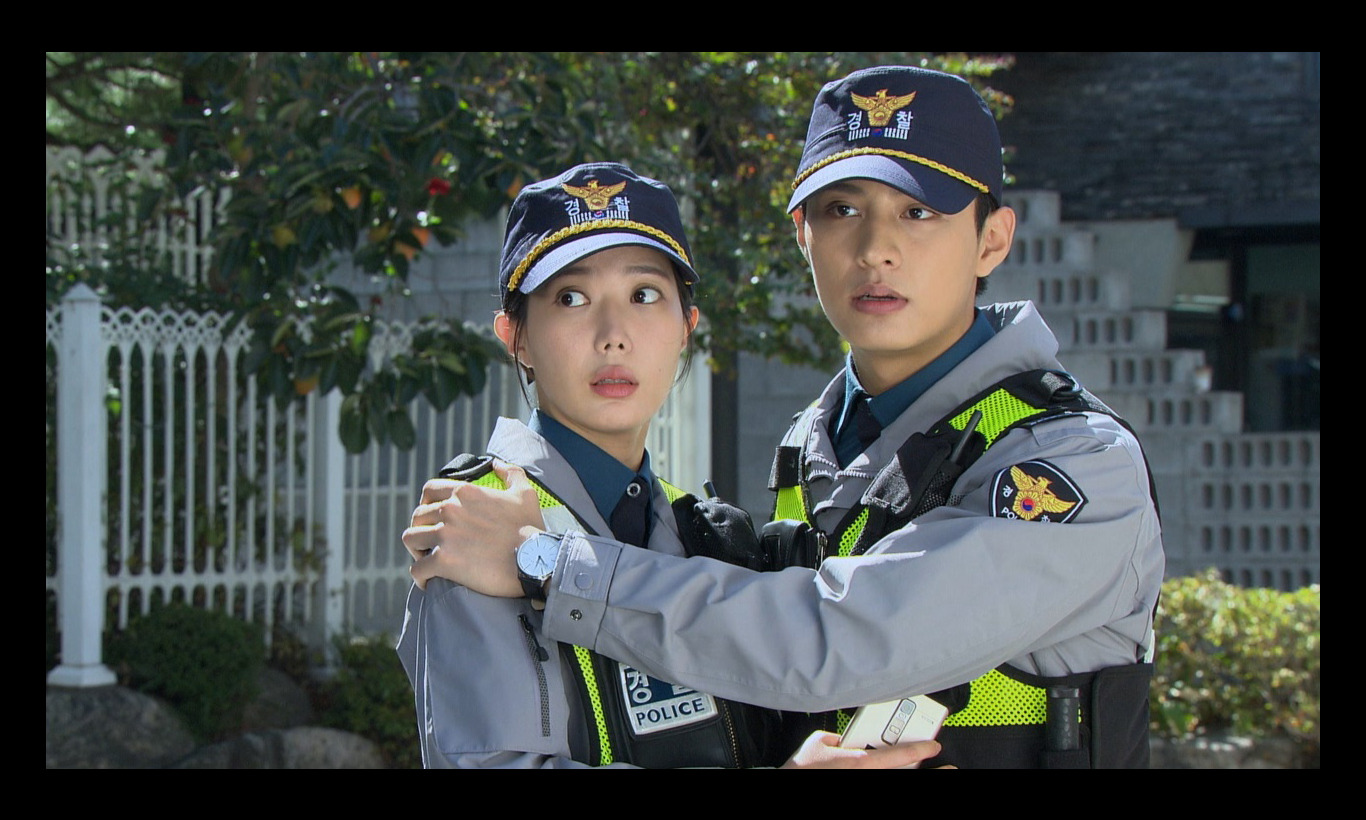 韓国ホームドラマ「恋の花が咲きました～2人はパトロール中～」