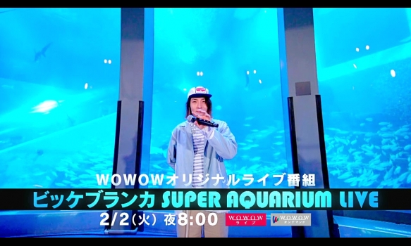 ビッケブランカ Super Aquarium Live 音楽 Wowowオンライン