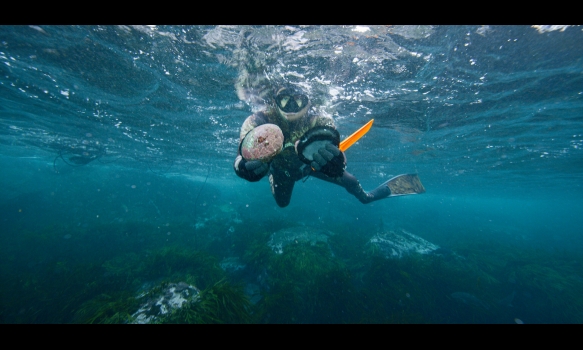 Fish of the Day2～南太平洋で釣り三昧～ #2 魚介とキーウィの楽園 スチュアート島