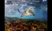 BBC Earth 2024 地中海 再生する生命（いのち）の物語
