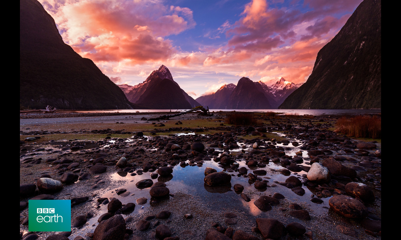 BBC Earth ワイルド・ニュージーランド～美しき野生の楽園～